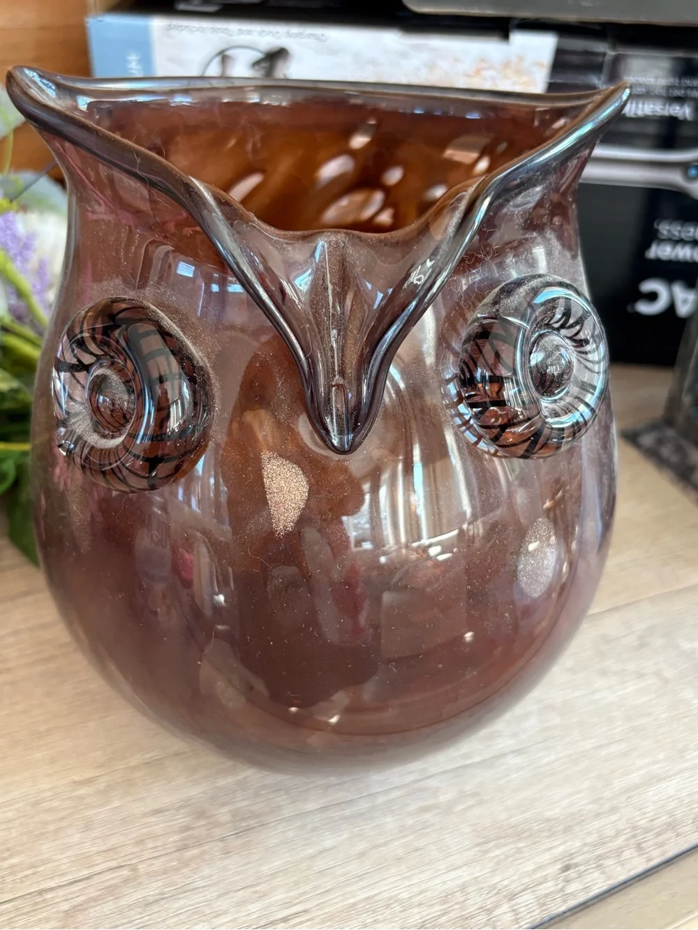 Pier 1 Brown Glass Owl Vase